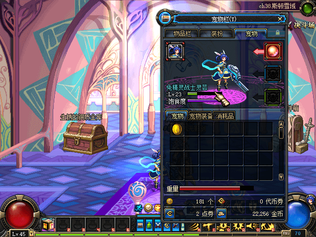 dnf70版本春节宠物.png